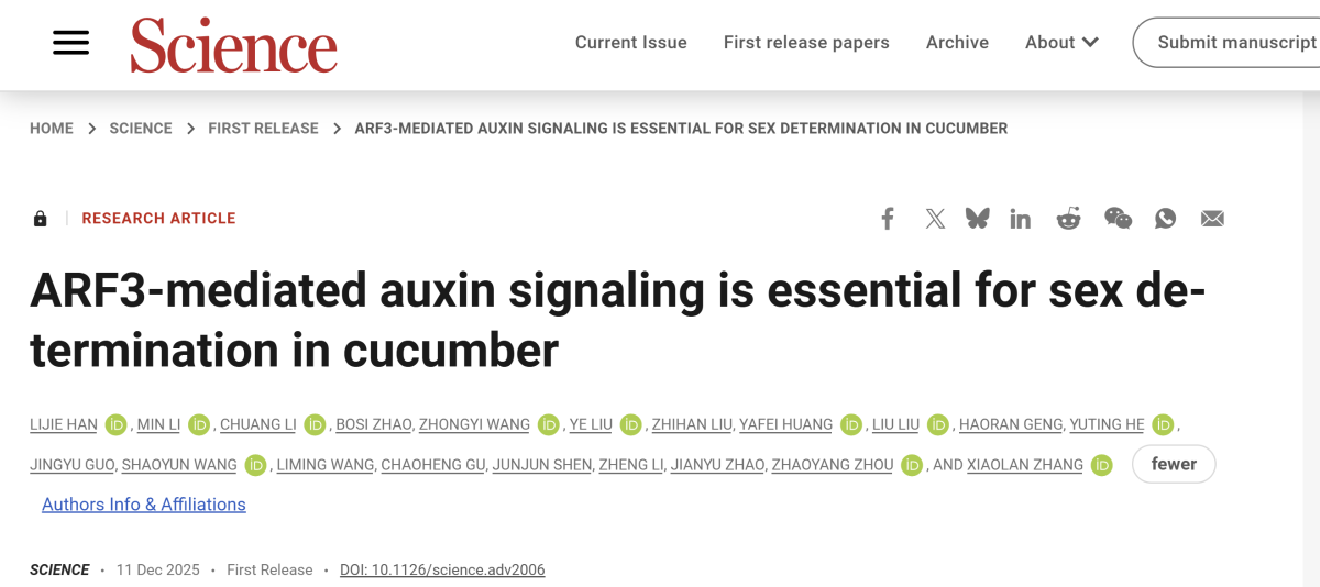漫话基因科普丨找到黄瓜性别“总开关”，高产不再靠运气