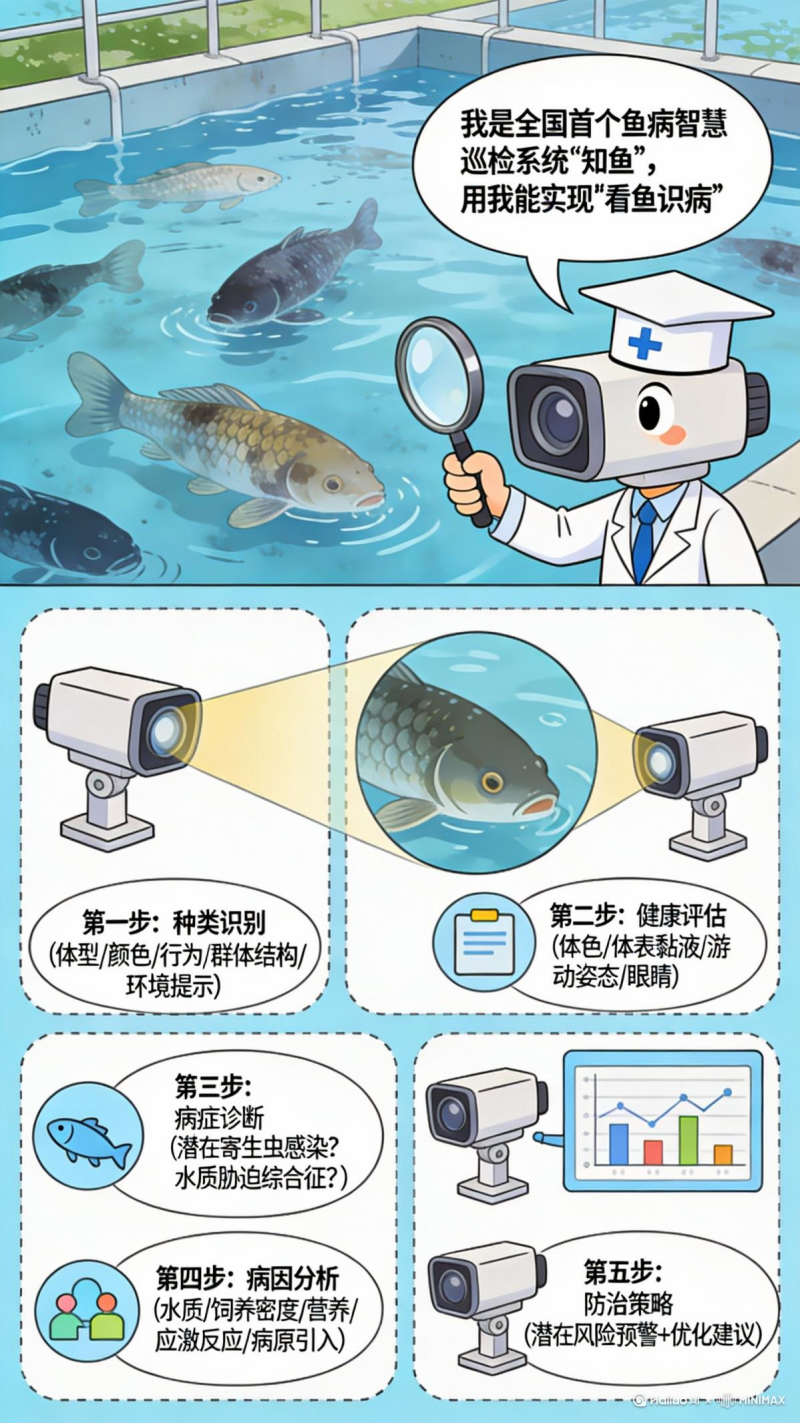 告别“靠猜治病”!养殖业有了“AI鱼医生” 告别“靠猜治病”!养殖业有了“AI鱼医生”