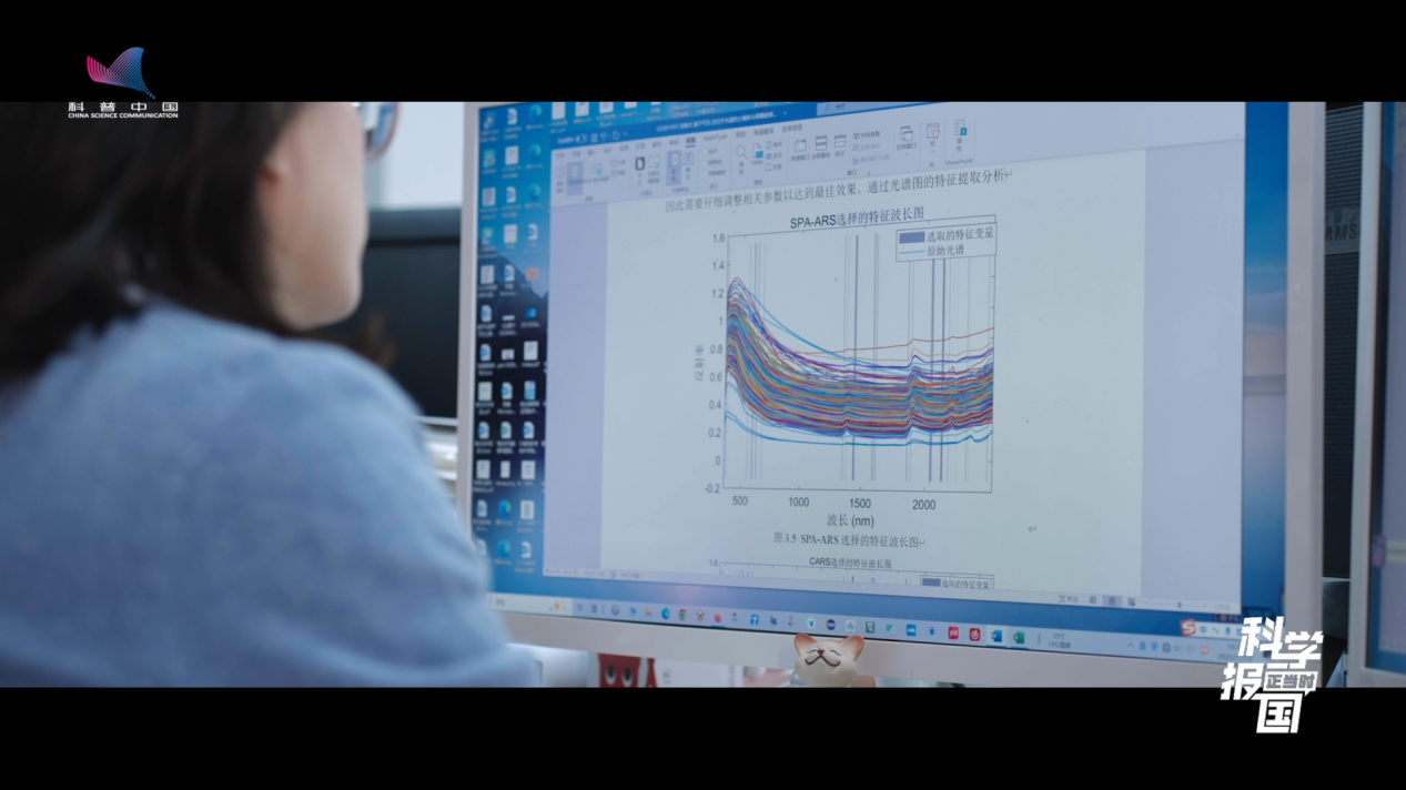 藏在芯片里的黑土“流量密码”