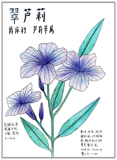 自然笔记:一种理解世界的独特视角 自然笔记:一种理解世界的独特视角