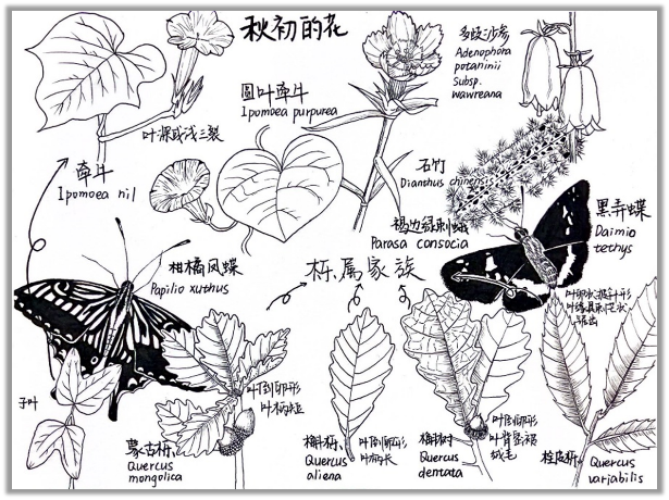 自然笔记:一种理解世界的独特视角 自然笔记:一种理解世界的独特视角