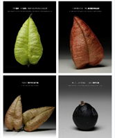 自然笔记:一种理解世界的独特视角 自然笔记:一种理解世界的独特视角