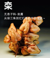 自然笔记:一种理解世界的独特视角 自然笔记:一种理解世界的独特视角