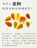 自然笔记:一种理解世界的独特视角 自然笔记:一种理解世界的独特视角