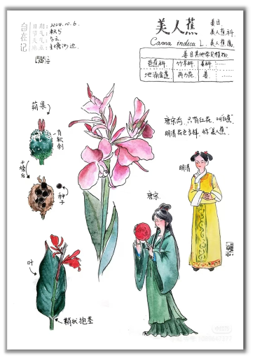 自然笔记:一种理解世界的独特视角 自然笔记:一种理解世界的独特视角