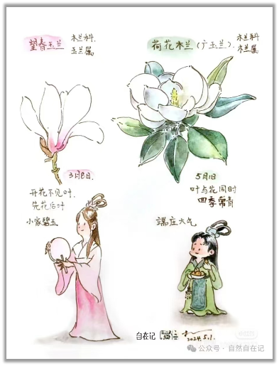 自然笔记:一种理解世界的独特视角 自然笔记:一种理解世界的独特视角