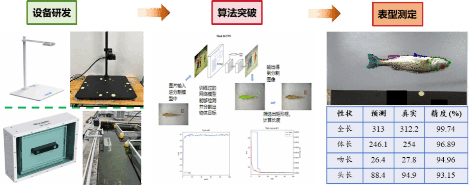 深海“选秀”来了！生物育种4.0选出“水产顶流”