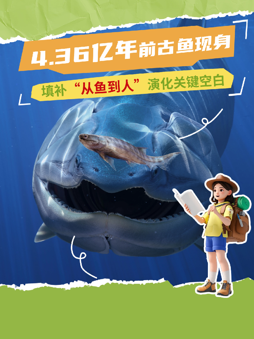4.36亿年前古鱼现身，填补“从鱼到人”演化关键空白
