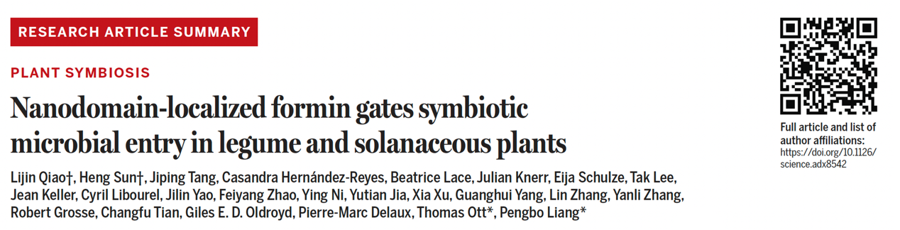 【科研论文科普解读】4亿年前的邀请函：植物如何把微生物“请进门”
