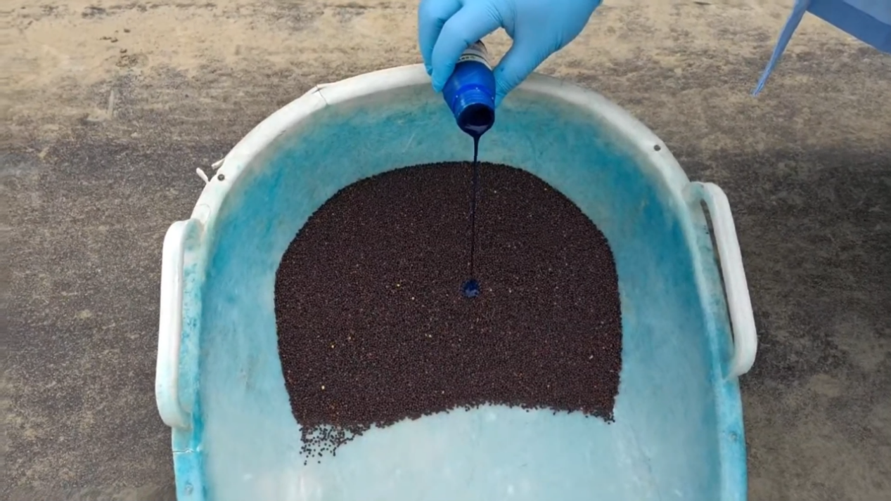 湿田种油菜三步走：开好沟、选对法、管到收