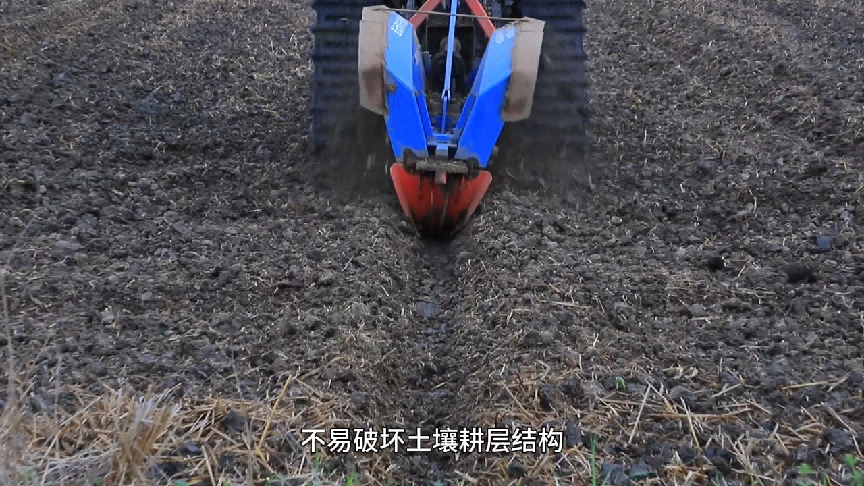 湿田种油菜三步走：开好沟、选对法、管到收