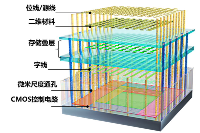 2025年度“中国科学十大进展”揭晓