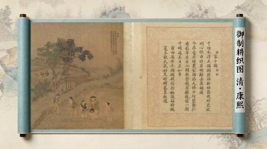 【跟着名画去种地】插秧为何讲究“浅直匀”？