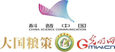 沙漠藏粮！中国黑科技让沙漠长新芽
