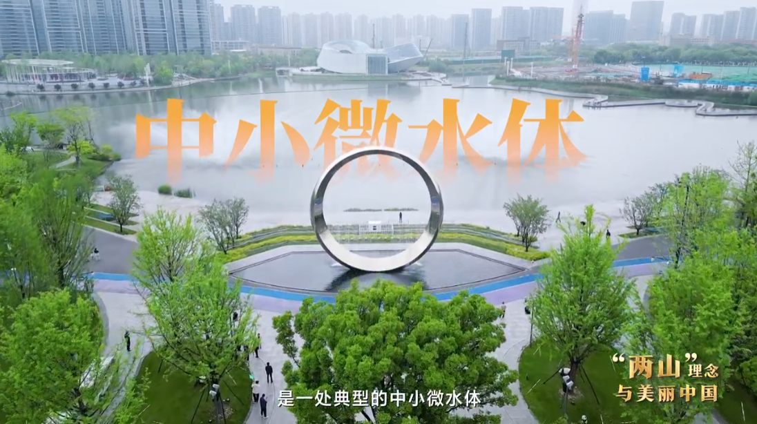 “两山”理念与美丽中国｜“美丽水细胞”里，藏着杭州中小微水体治理的硬核实践