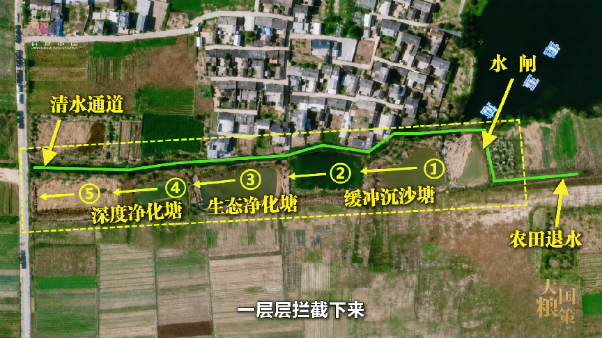 科学家vlog｜暴雨来袭，洱海如何守住清澈？他们设下“五道关”