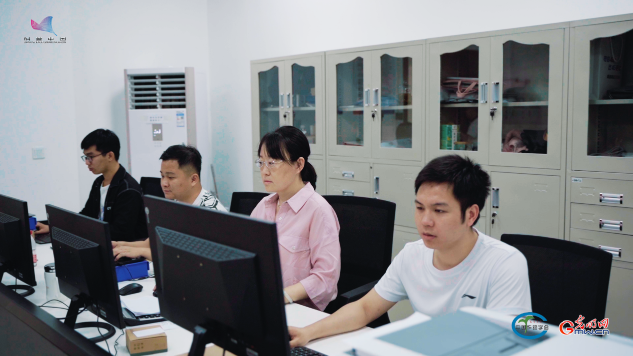 一颗种子的“AI预言”：怎样看清作物的明天？