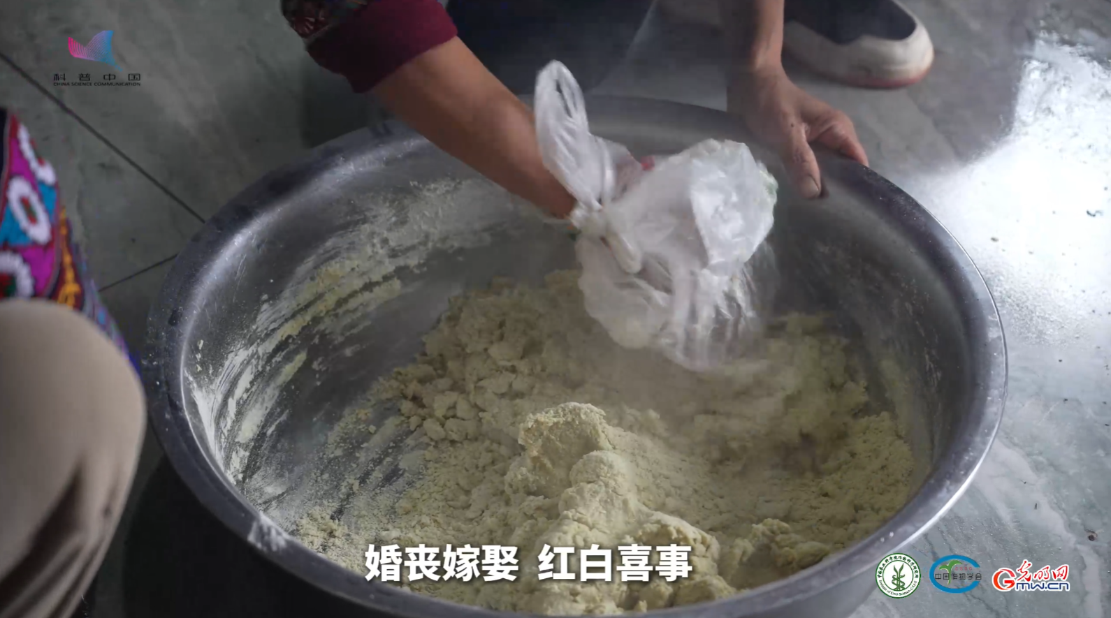 大凉山里的“黑色宝藏”：苦荞为何成为彝族人离不开的粮食