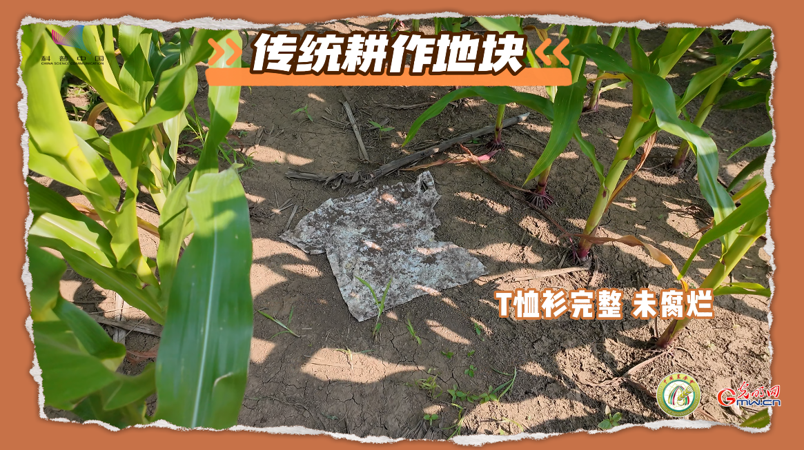 大国粮策·梨树行｜一件白T恤，见证黑土重生