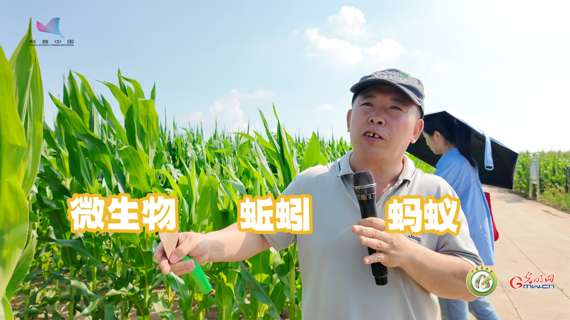 大国粮策·梨树行｜一件白T恤，见证黑土重生