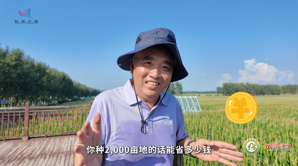 大国粮策·梨树行｜一件白T恤，见证黑土重生