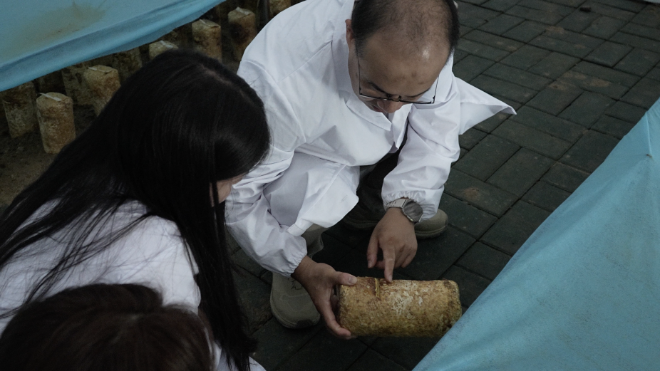 深山育“金”科技破题