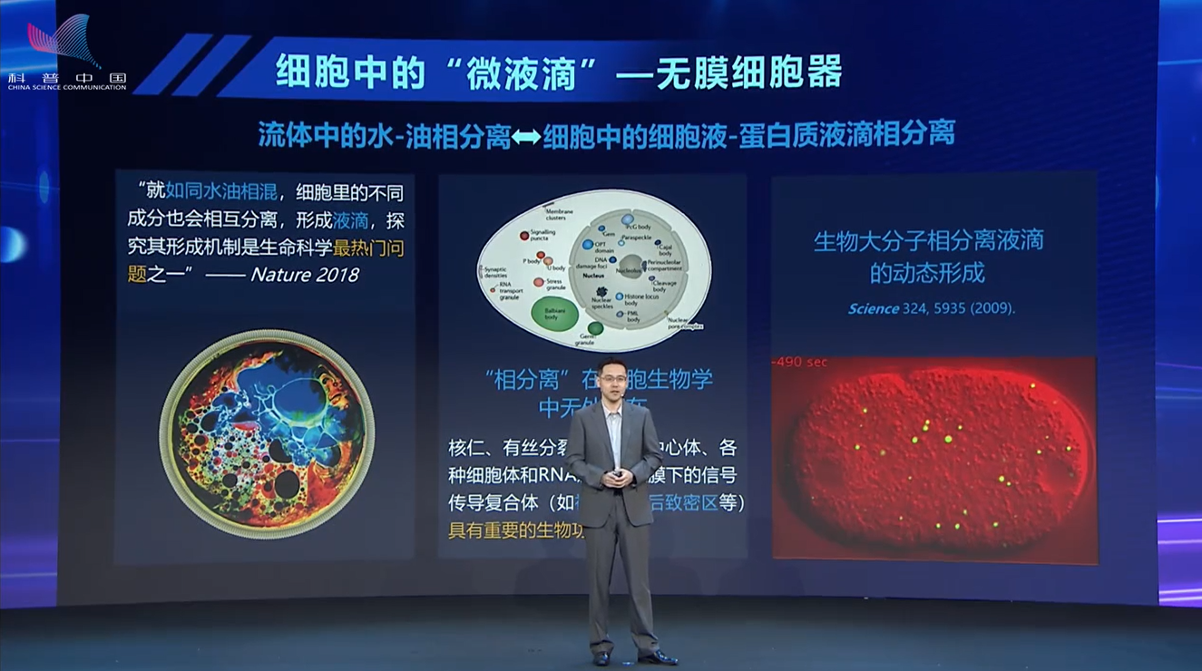 太空微重力有多神奇？一颗水球看懂流体与生命的奥秘