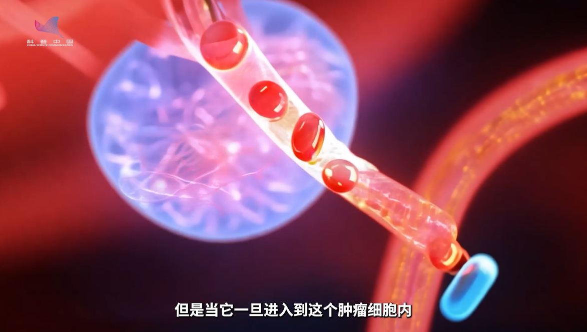 避开杀敌一千自损八百困境 纳米载体给药物装上“定向开关”
