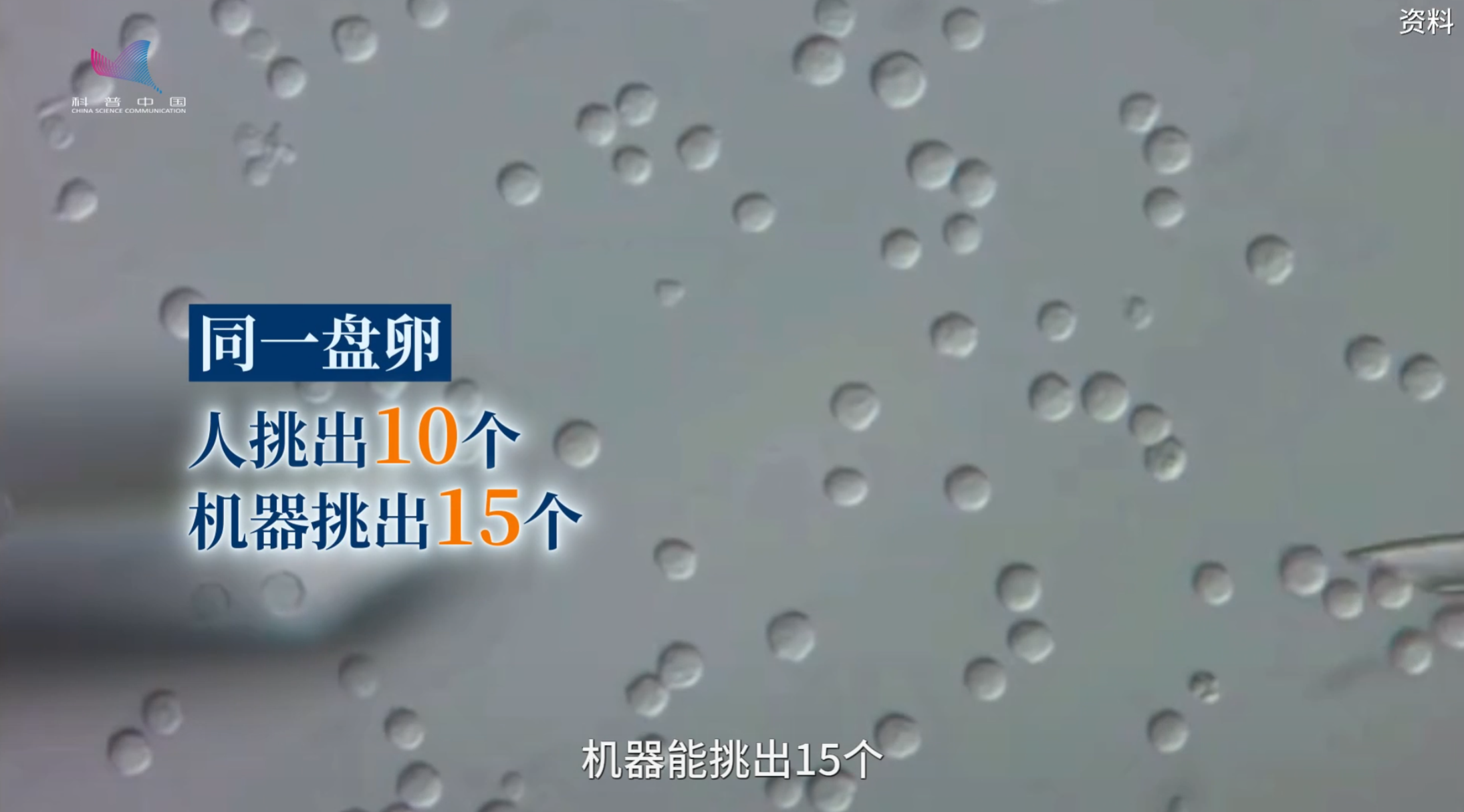 告别“等牛生牛”，奶牛育种迈入精准筛选时代