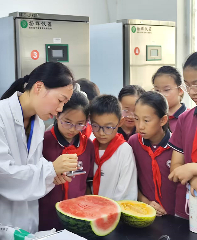 一粒种子里的星辰大海：郑州果树研究所上演“瓜果奇遇记”