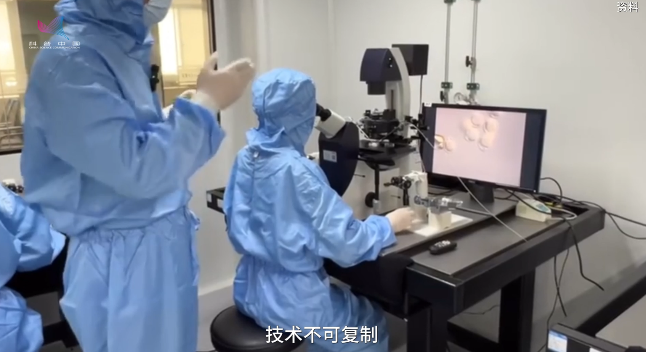 “造”一头好奶牛，有多难？