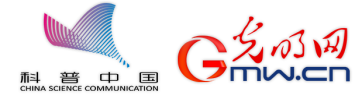 丰收密码｜玉米棒成了“蛋白棒”