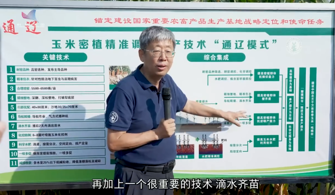 全国粮食安全宣传周｜玉米“吨粮田”里的科技密码