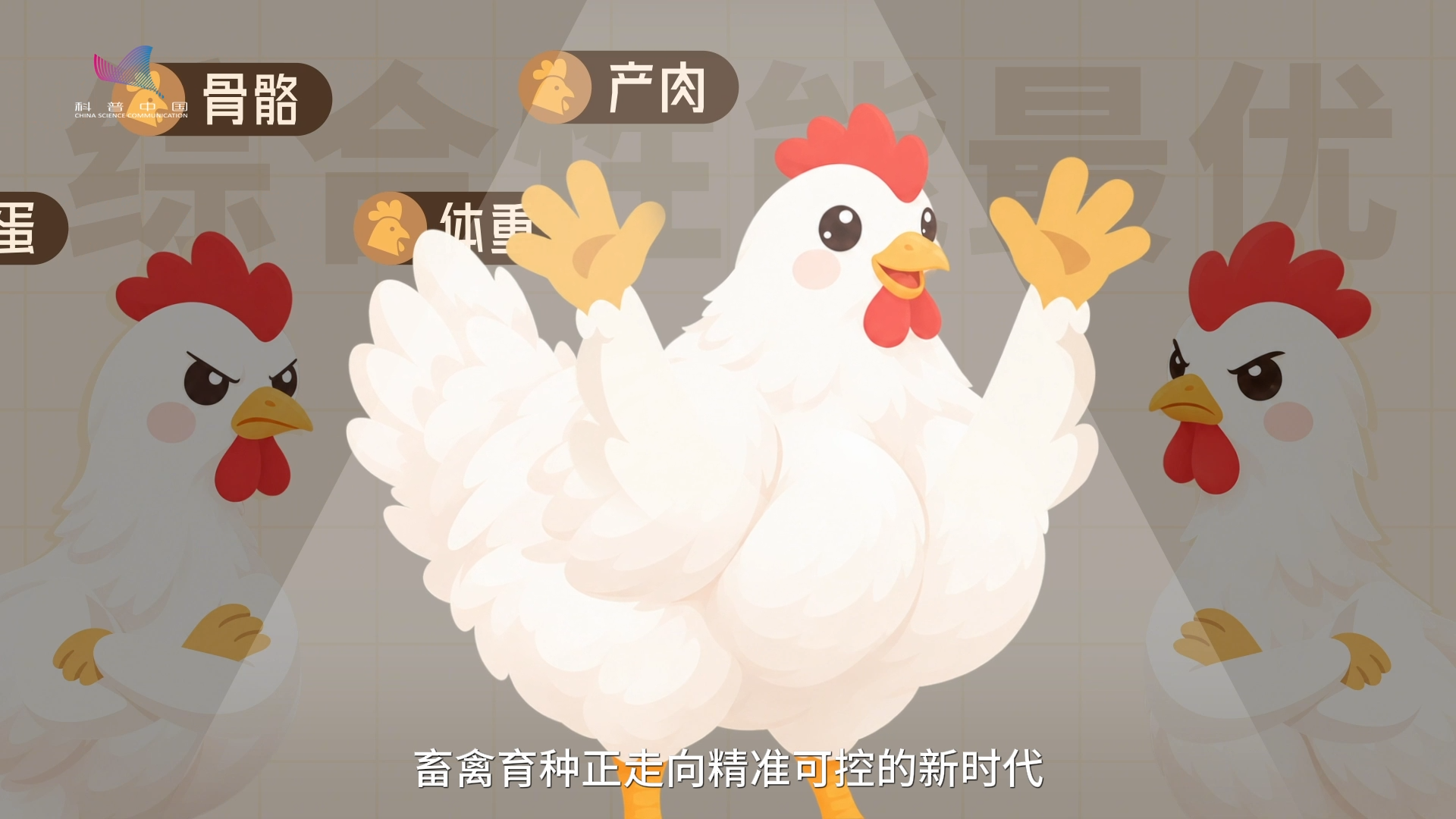 一只鸡还没长大,科学家怎么知道它是不是“潜力股”? 一只鸡还没长大,科学家怎么知道它是不是“潜力股”?