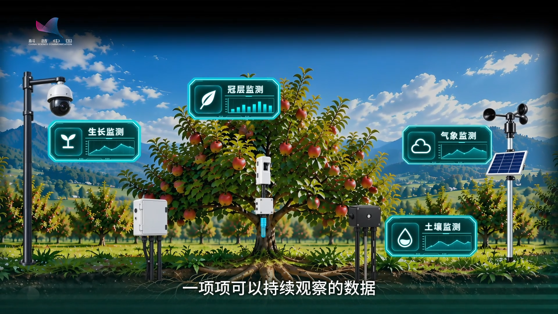 科学家为啥要给果树做“体检”? 科学家为啥要给果树做“体检”?