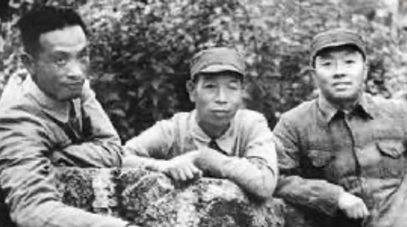 长征路上的科技力量 | 王诤：半部电台起家，一生征战为民