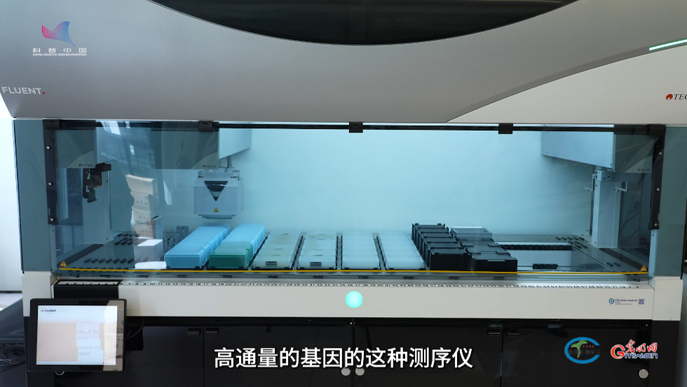 AI赋能良种培育从“靠经验”走向“可设计”